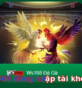 s6666 đăng nhập tài khoản
