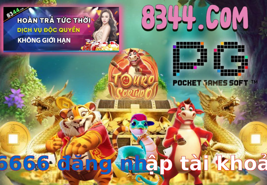 s6666 đăng nhập tài khoản